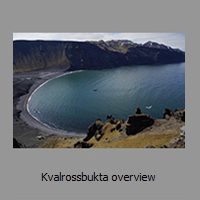 Kvalrossbukta overview